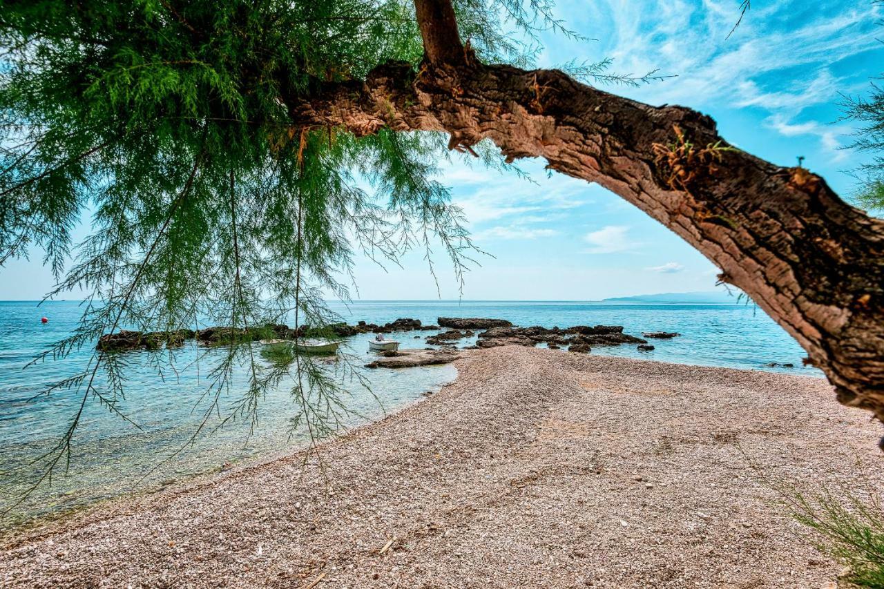 Villa Gloria Potomje المظهر الخارجي الصورة